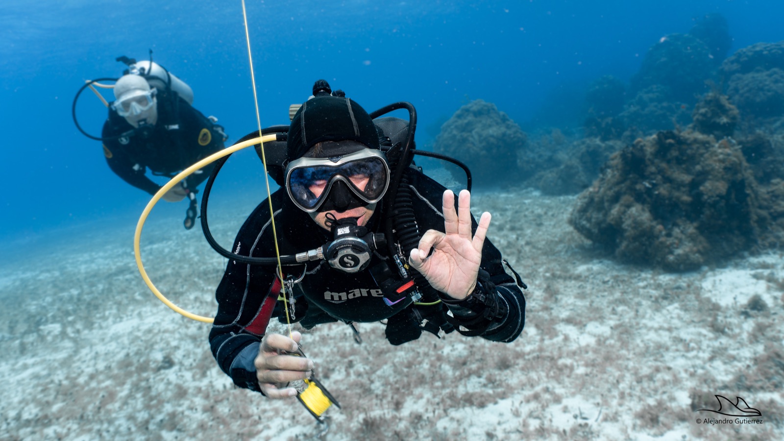 Diver drifting along a Cozumel reef wall